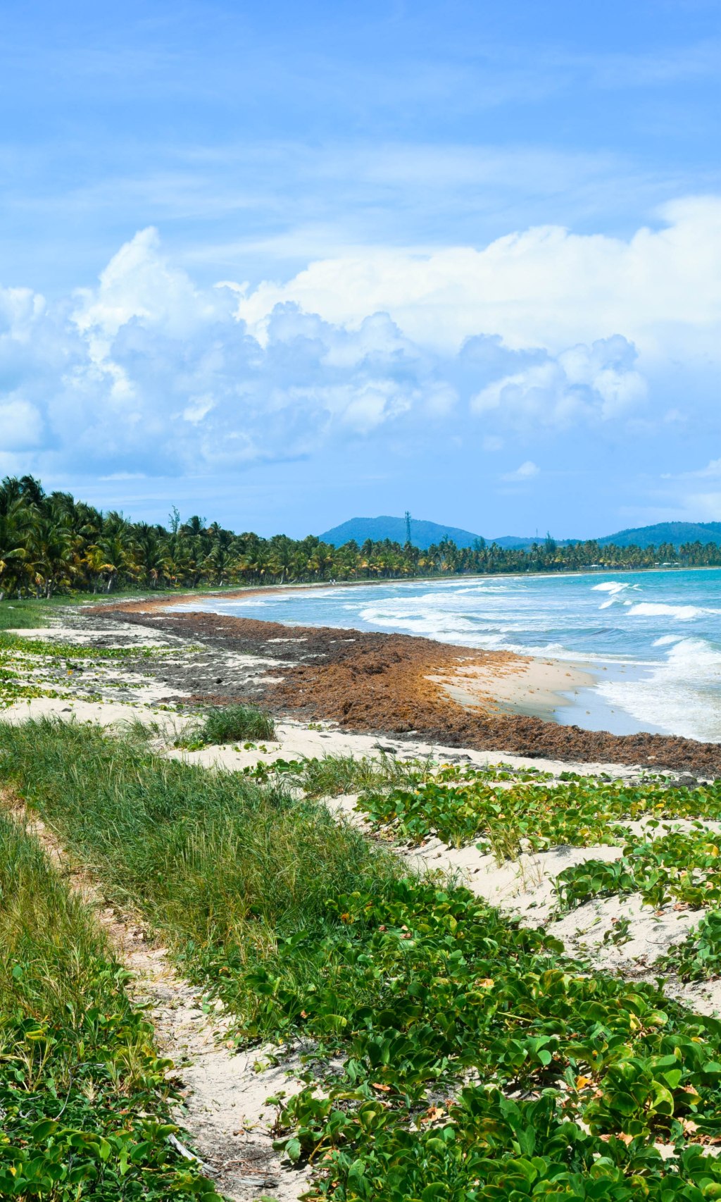 Una playa en Humacao, PR